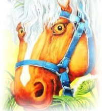 Мерин