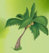 Attalea princeps
